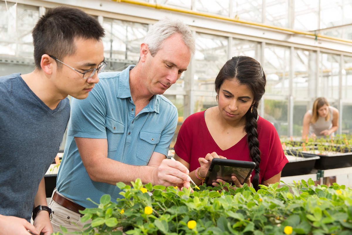 Stipends And Financial Support stipends-and-financial-support