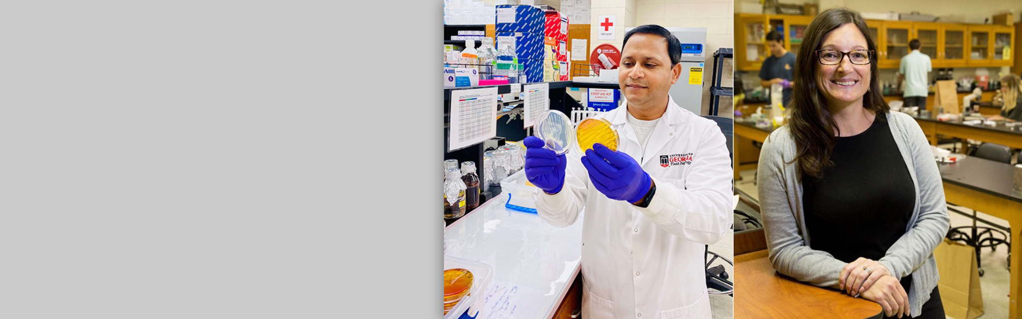 UGA Faculty Bhabesh Dutta and Marin Brewer lead new USDA initiative on cucurbit diseases