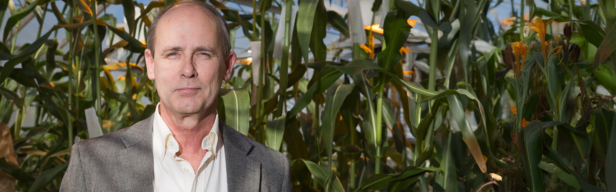 Jeff Bennetzen American Society of Plant Biologists (ASPB) Fellow (2025)